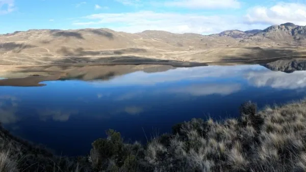 Grama dourada da estepe patagônica circundando a tranquila e reflexiva Laguna Cisnes.