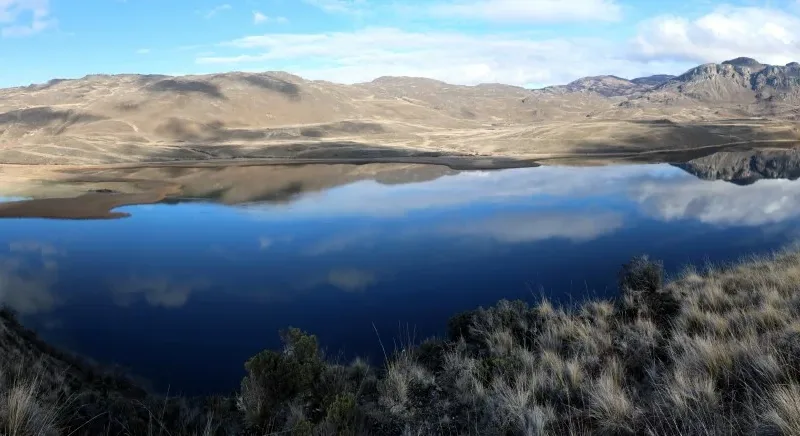 Golden grasses of the Patagonian steppe surrounding the quiet and reflective Laguna Cisnes.