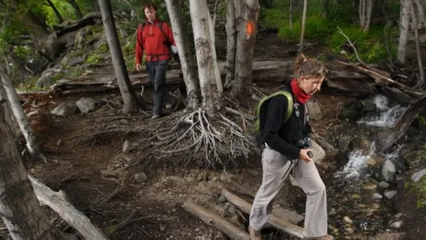 Hikers with backpacks navigating a narrow dirt trail through the yellow pampa grass of Torres del Paine.