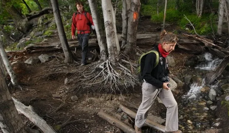 Trail between Dickson and Los Perros