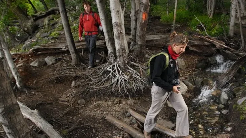 Senderistas con mochilas recorren un estrecho sendero de tierra entre la hierba amarilla de la pampa de Torres del Paine.