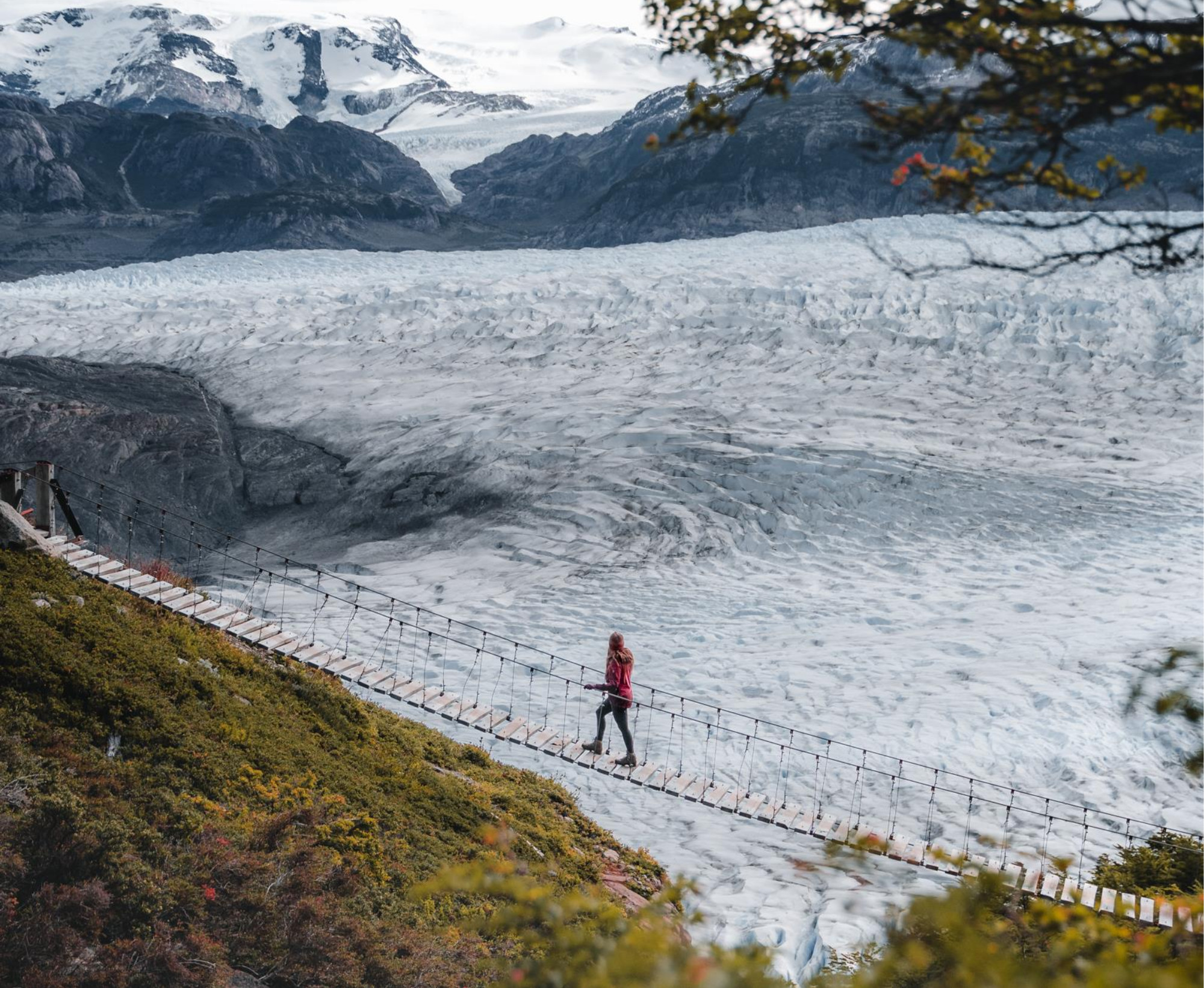 Uma trilha densa na floresta, no percurso entre Los Perros e Grey, cercada por árvores nativas de lenga e coigüe.