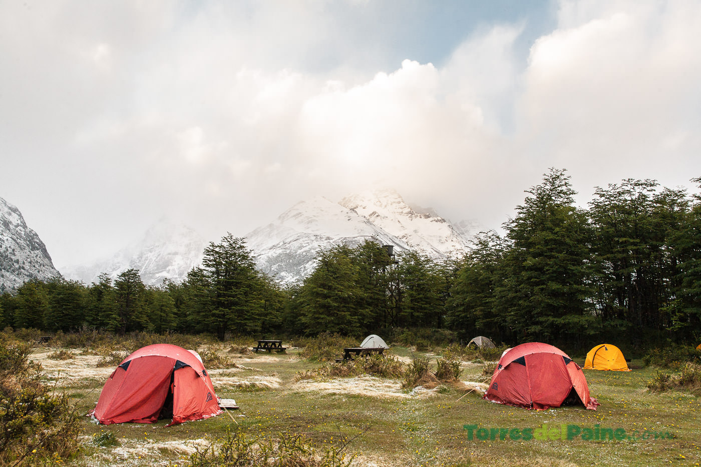 Expansive grassy campsite at Camping Dickson with views of the surrounding mountains and glaciers.