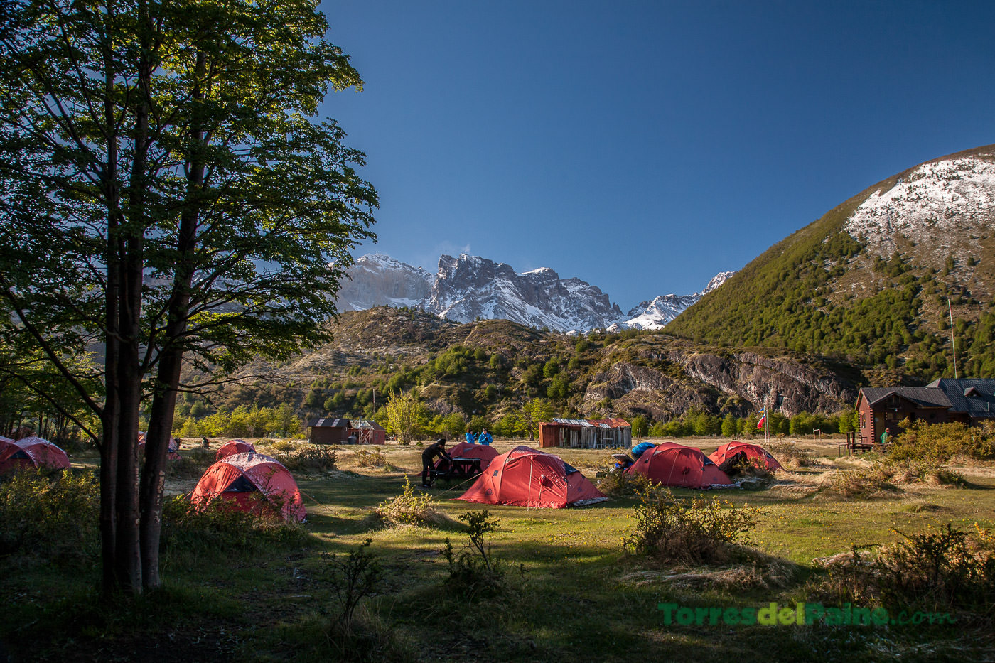 Vibrant hiking tents scattered across the green meadows near the edge of Lago Dickson.