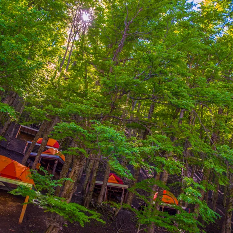 El Chileno Campground