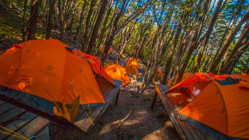 Camping y Domos Francés