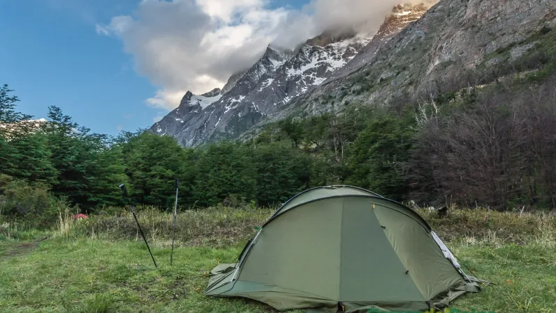 Tiendas de campaña instaladas en un claro boscoso en Camping Grey, a la sombra de árboles autóctonos de la Patagonia.