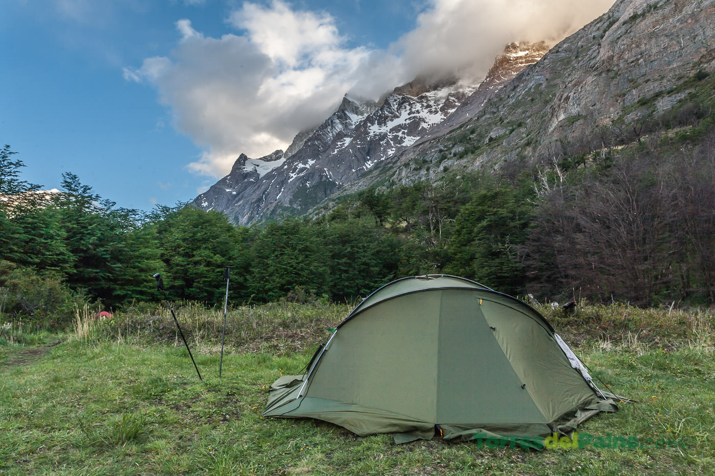 Tendas armadas em uma clareira arborizada no Camping Grey, à sombra de árvores nativas da Patagônia.