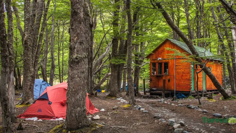 Hikers organizing gear at Camping Los Perros, surrounded by the high-altitude forest of the O Circuit.