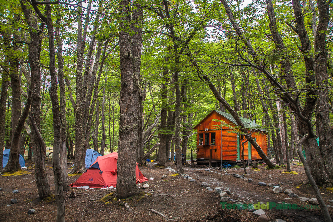 Hikers resting beside their equipment at the rugged Los Perros campsite surrounded by dense woodland.