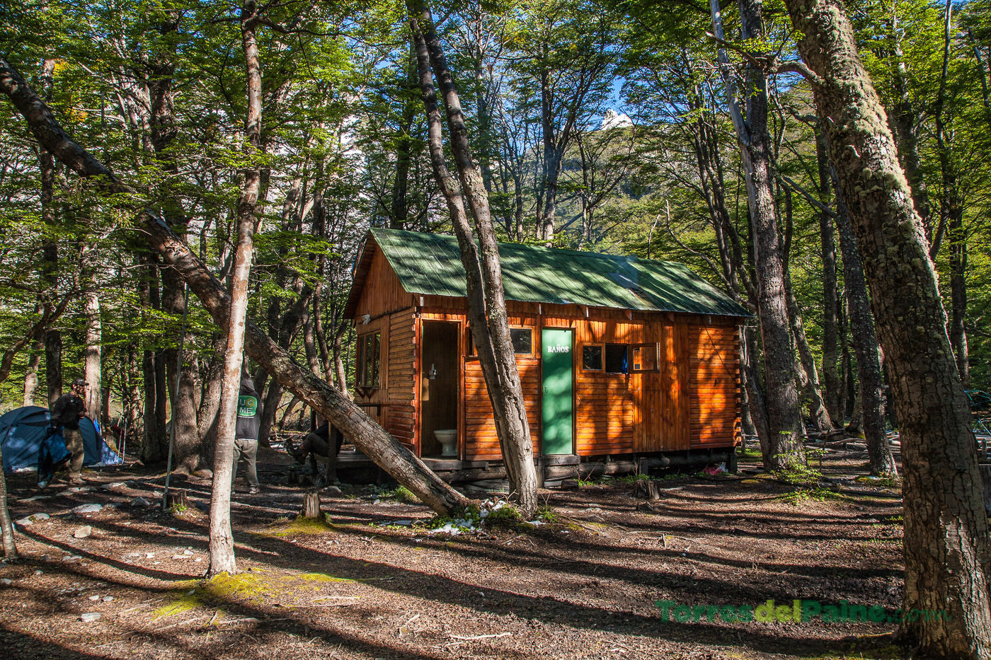 Early morning light filtering through the canopy over the remote Los Perros camping area.