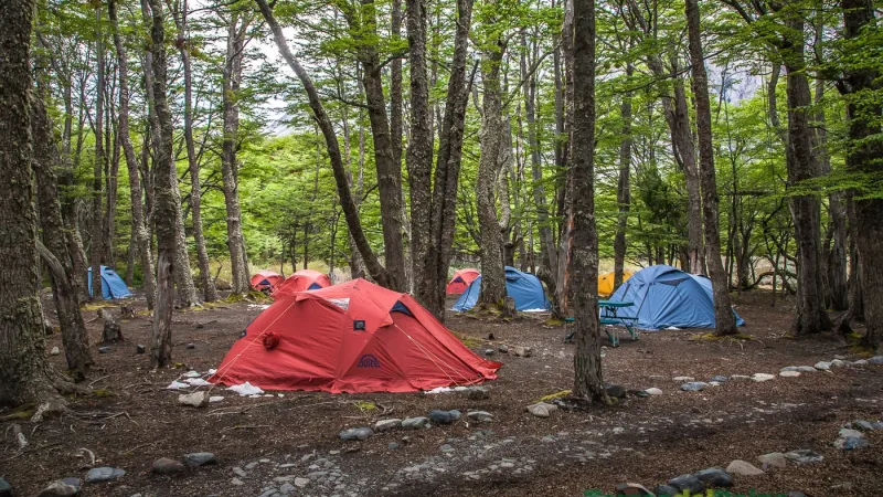 The rocky, forested terrain of Camping Los Perros with the glacier moraine visible in the distance.