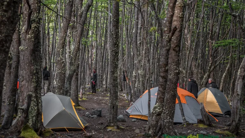 Backpackers preparing gear at a rustic campsite in the heart of the Los Perros forest.