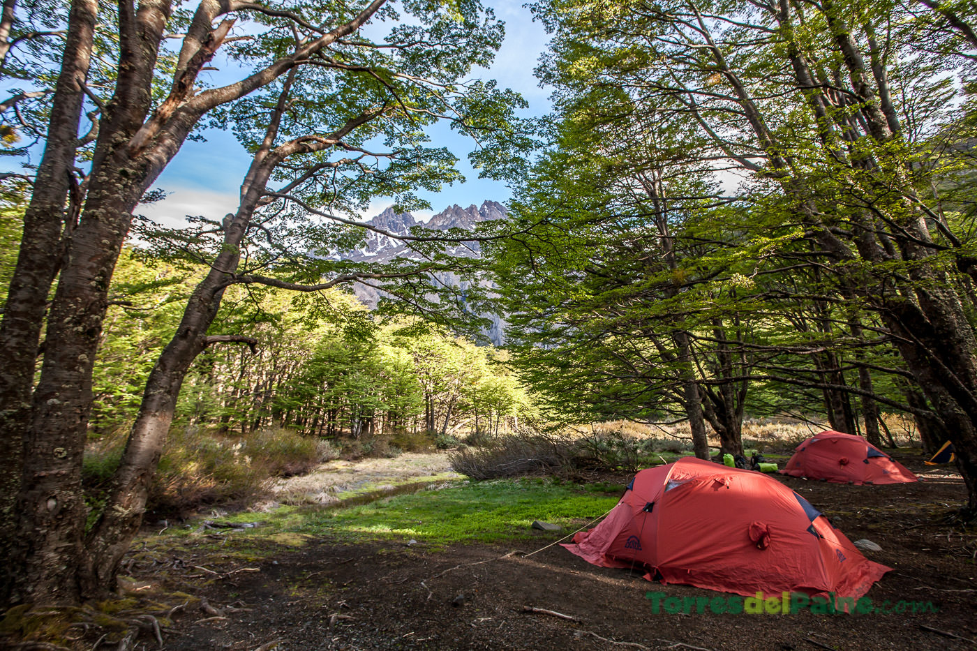 Low-impact camping sites tucked away in the shadows of the mountains near Los Perros.