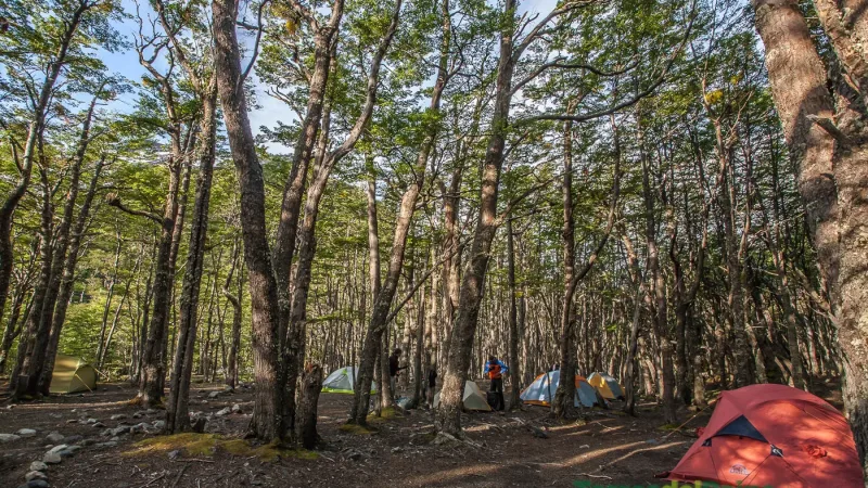 The winding trail leading through the forested slopes toward the Los Perros camping site.