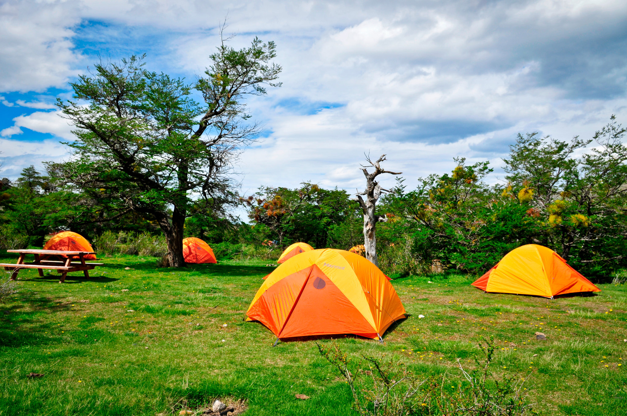 Névoa matinal subindo das árvores que cercam o isolado Camping Torres, no Vale Ascencio.