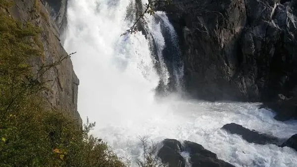 Cascada Pingo