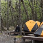 Berçário Los Perros