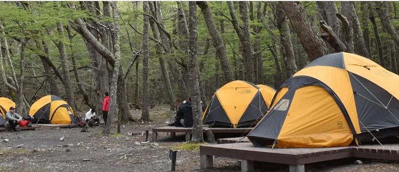 Bright tents pitched in the sheltered, forested area of Camping Los Perros on the O Circuit.