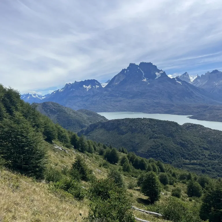Ferrier Viewpoint