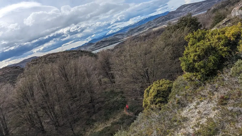 The vast Patagonian landscape extending toward the horizon, featuring glaciers and lakes seen from the Ferrier lookout.