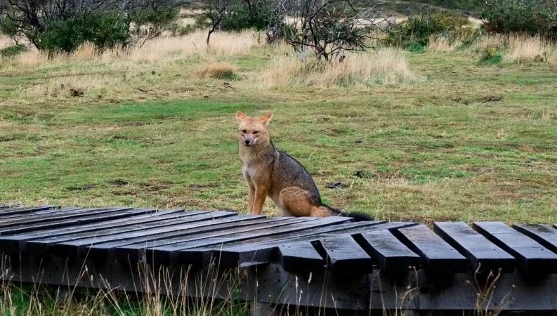 Excursionistas reunidos perto da base do imponente pico Paine Grande, no coração do parque nacional.