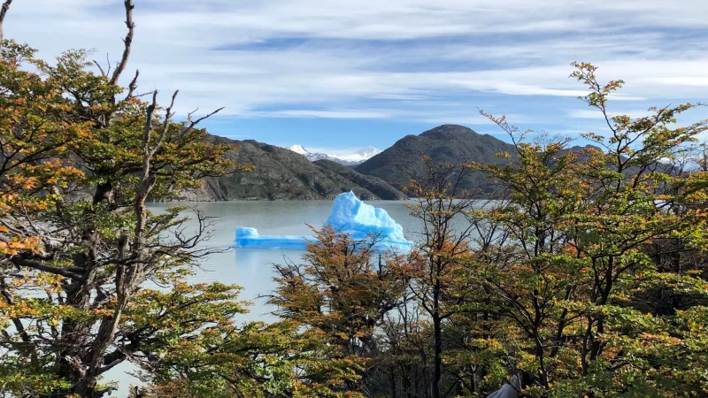 Icebergs quedaron varados en la oscura arena y la playa de guijarros de Playa Grey, cerca del frente del glaciar.