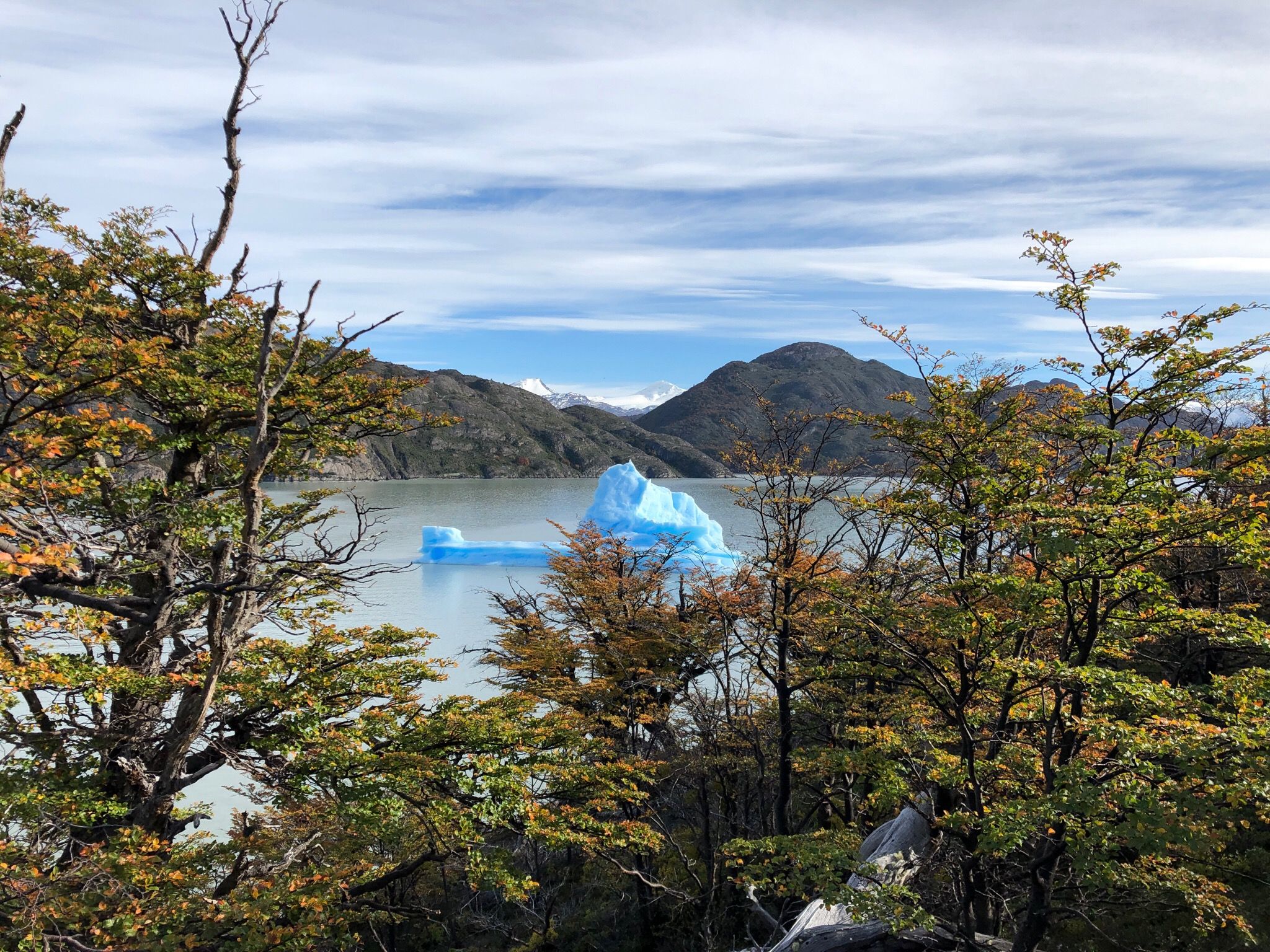 Icebergs foram trazidos pela correnteza até a praia de areia escura e seixos da Playa Grey, perto da frente da geleira.