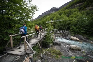 Un estrecho sendero de montaña que atraviesa el bosque de lenga en el valle del Ascencio.
