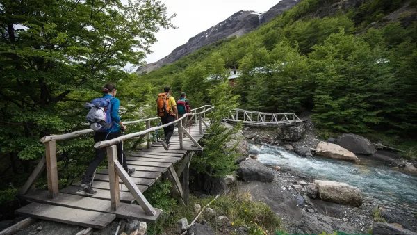 A narrow mountain trail through the Lenga forest in the Ascencio Valley.
