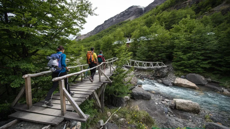 Un estrecho sendero de montaña que atraviesa el bosque de lenga en el valle del Ascencio.