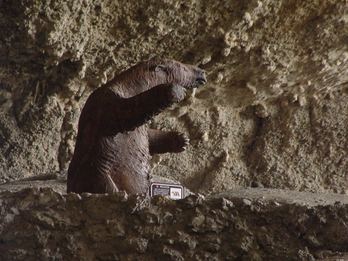 Una pasarela de madera para visitantes que se adentra en las cavernas prehistóricas del Monumento Natural de la Cueva del Milodón.