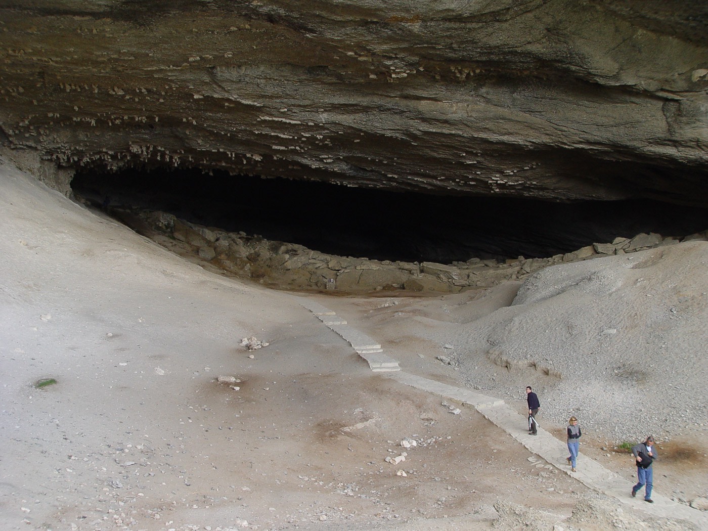 Paneles informativos que explican la historia y la paleontología de la Cueva del Milodón.