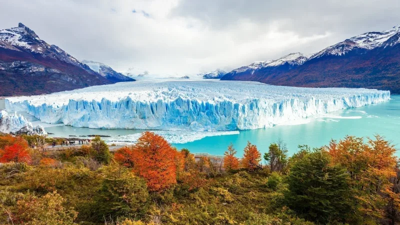 La enorme pared de hielo azul del glaciar Perito Moreno en el Campo de Hielo Patagónico Sur.