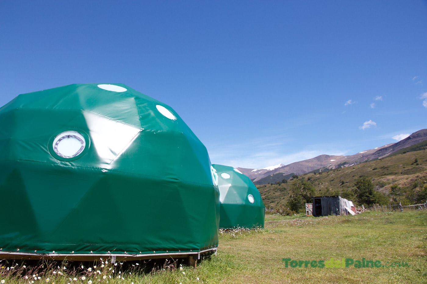Early morning sun lighting up the green fields and wildflowers at Camping Serón.