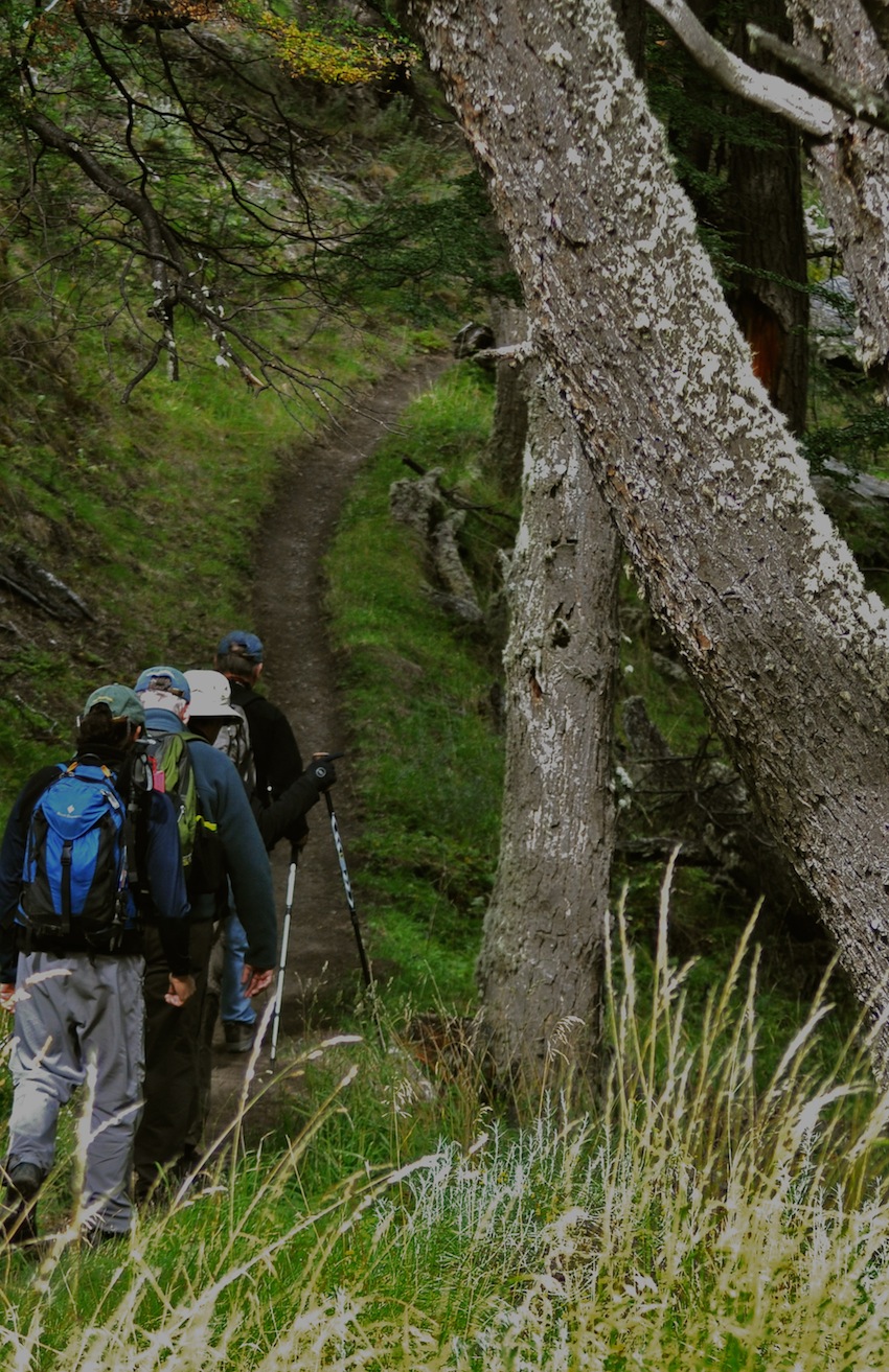 The simple wooden facilities and kitchen area at Camping Serón for O Circuit hikers.
