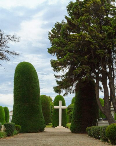 Emblemáticos cipreses meticulosamente esculpidos y grandes monumentos de piedra en el cementerio Sara Braun en Punta Arenas.