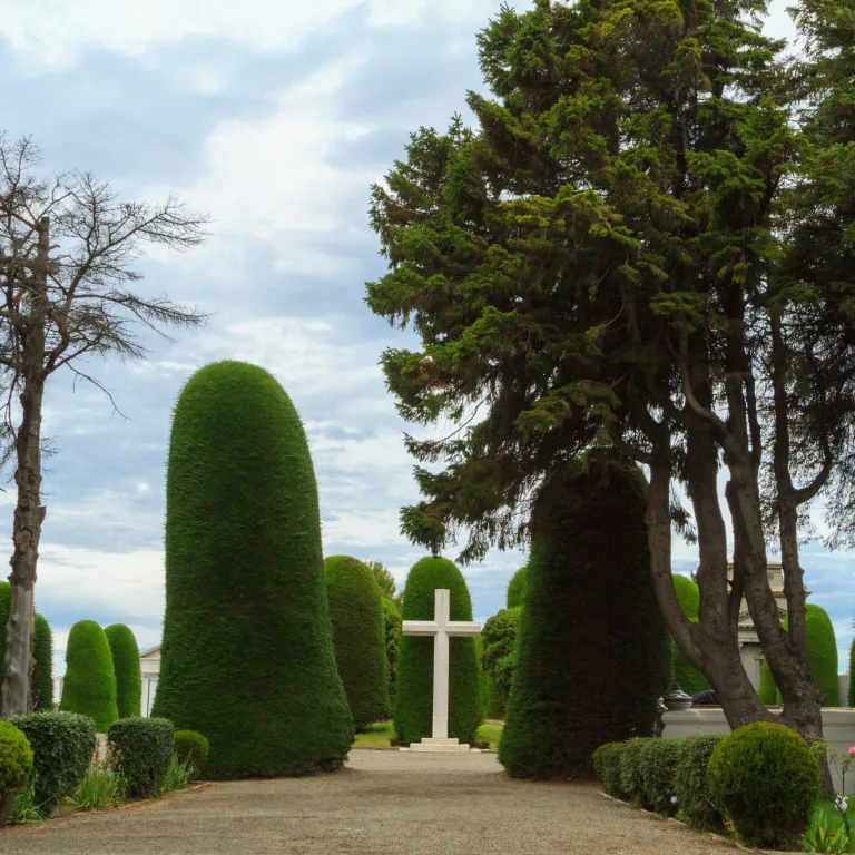 Cemetery of Punta Arenas Sara Braun