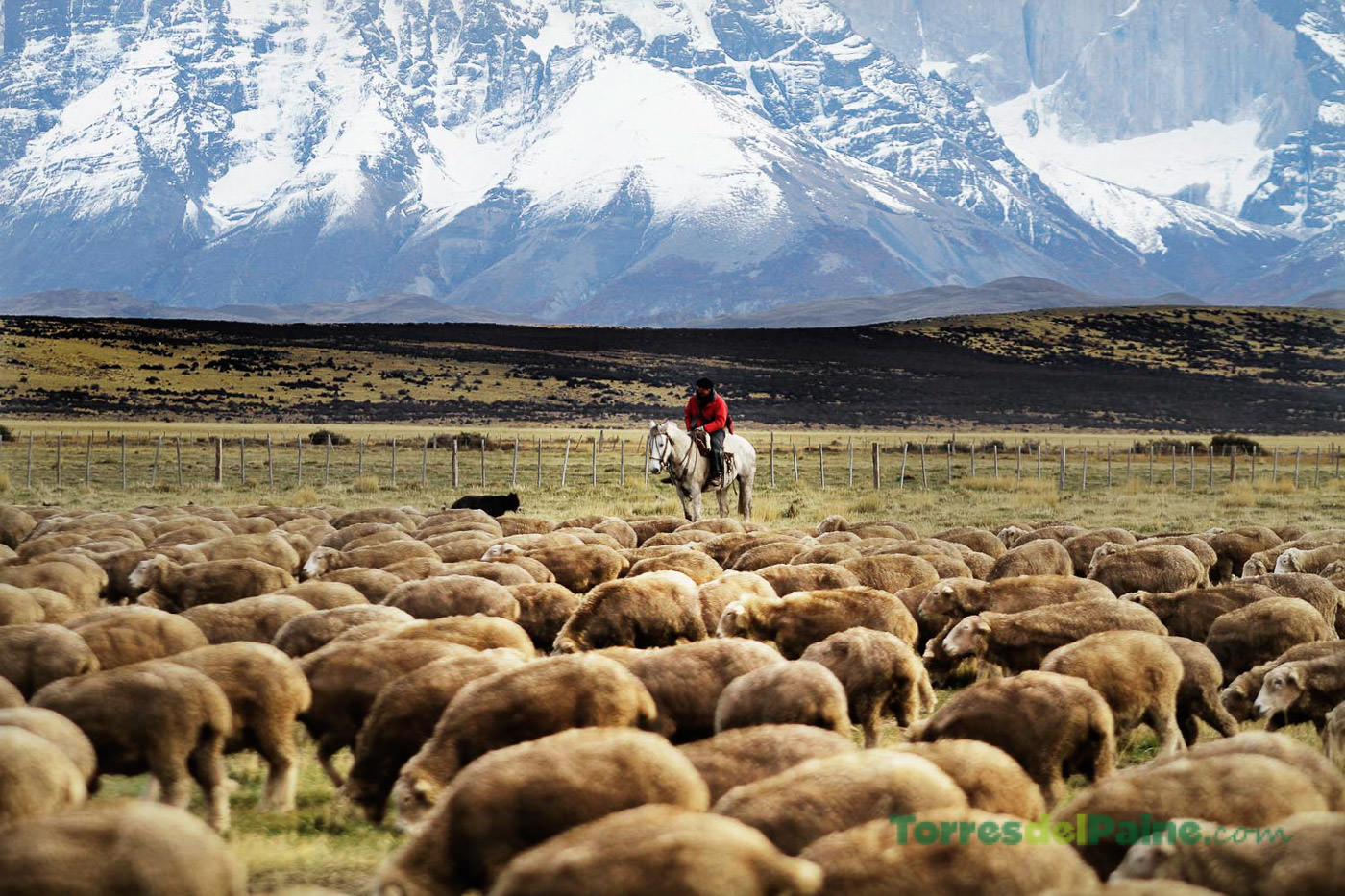 Vista aérea mostrando como o design da Tierra Patagonia se integra perfeitamente à paisagem ondulada da pampa.
