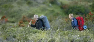 Senderistas con mochilas cruzan un puente de madera sobre un río glaciar durante una excursión de trekking.