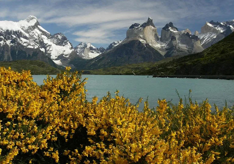 Torres del Paine