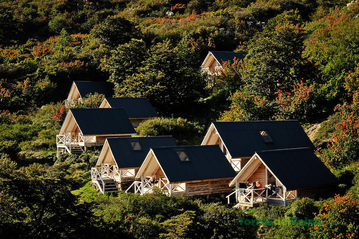 The interior of a cabin at Los Cuernos featuring twin beds and warm wooden walls.