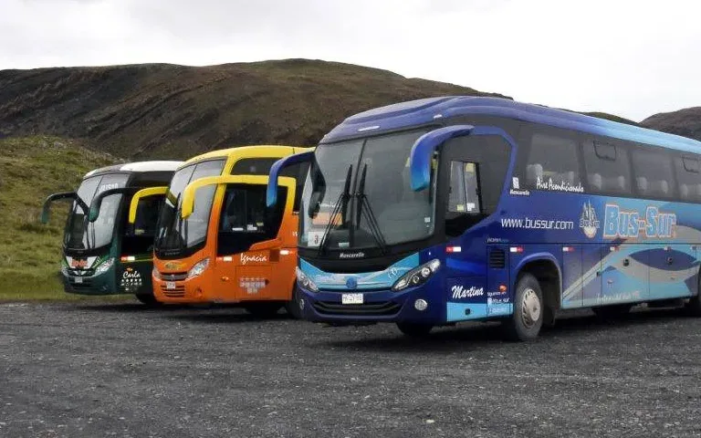 Bus Sur