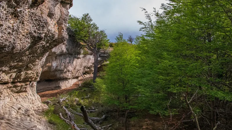 Senderistas de pie al borde de un acantilado en el Cerro Benítez, con vistas a los fiordos patagónicos.
