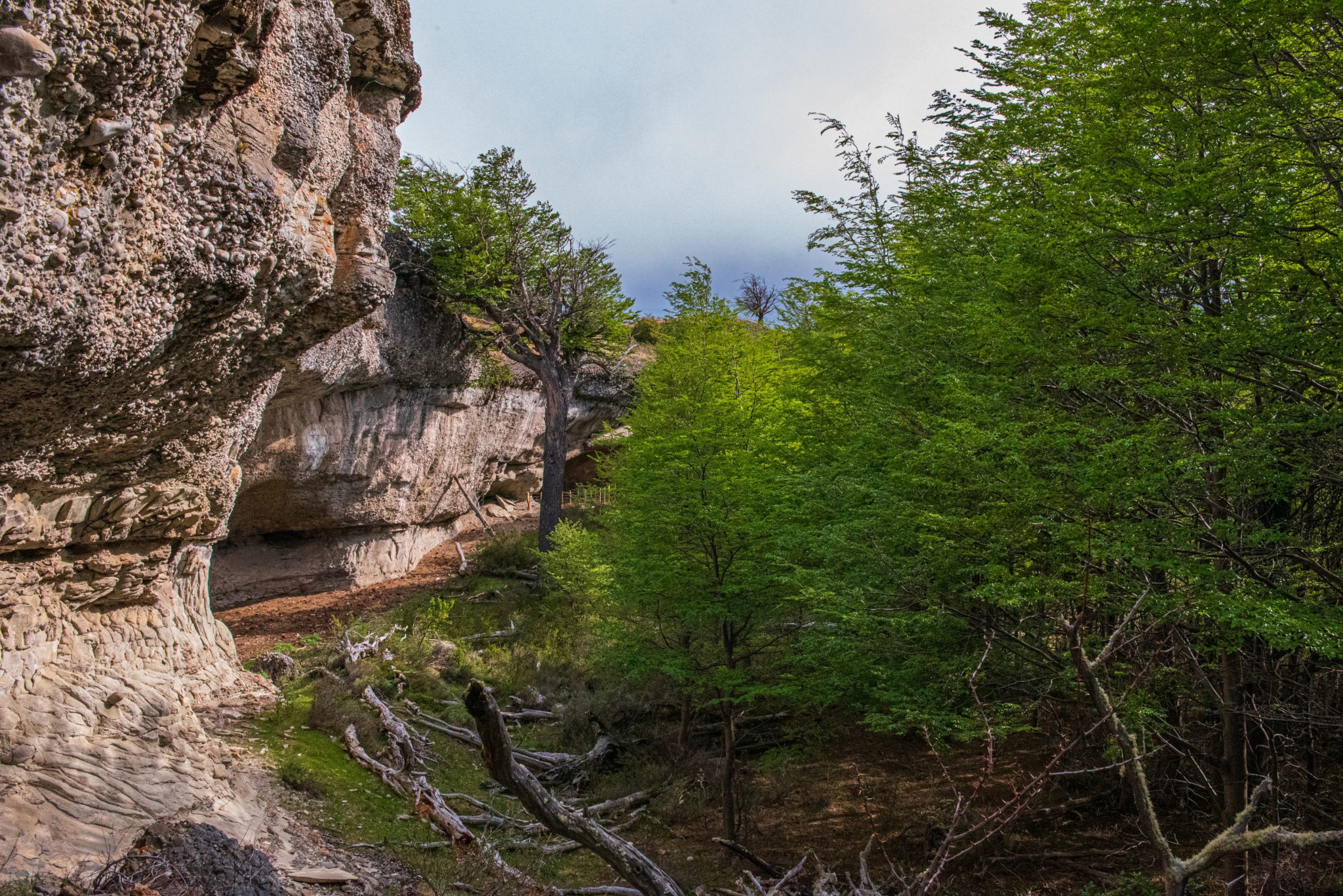 Senderistas de pie al borde de un acantilado en el Cerro Benítez, con vistas a los fiordos patagónicos.