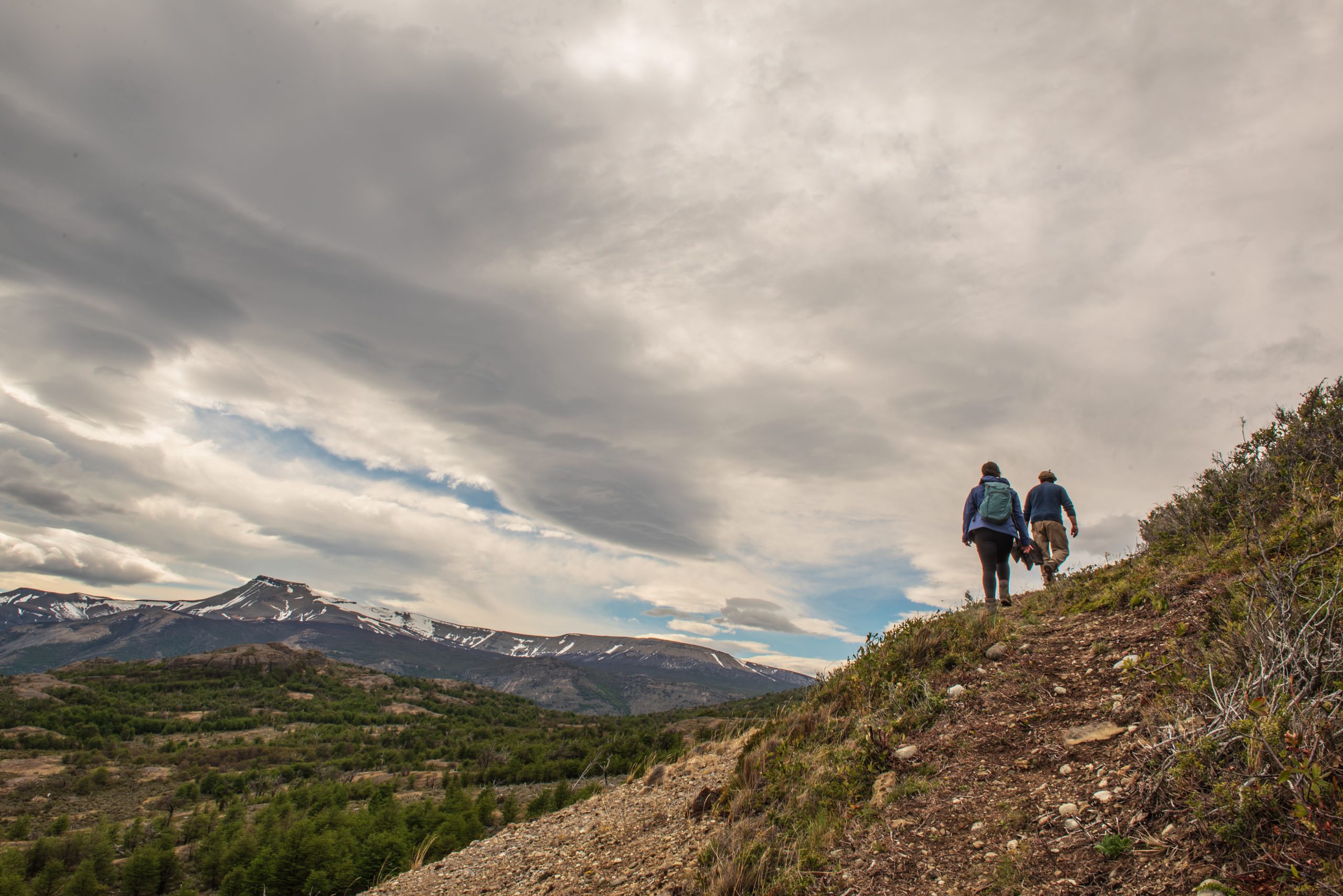 Un cóndor andino planeando muy por encima de los escarpados picos del Cerro Benítez.