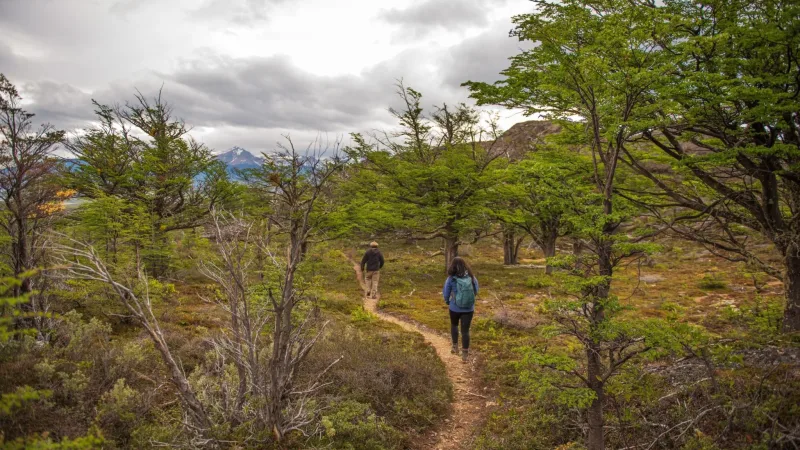 La entrada a una formación de cuevas naturales en las laderas rocosas del Cerro Benítez.
