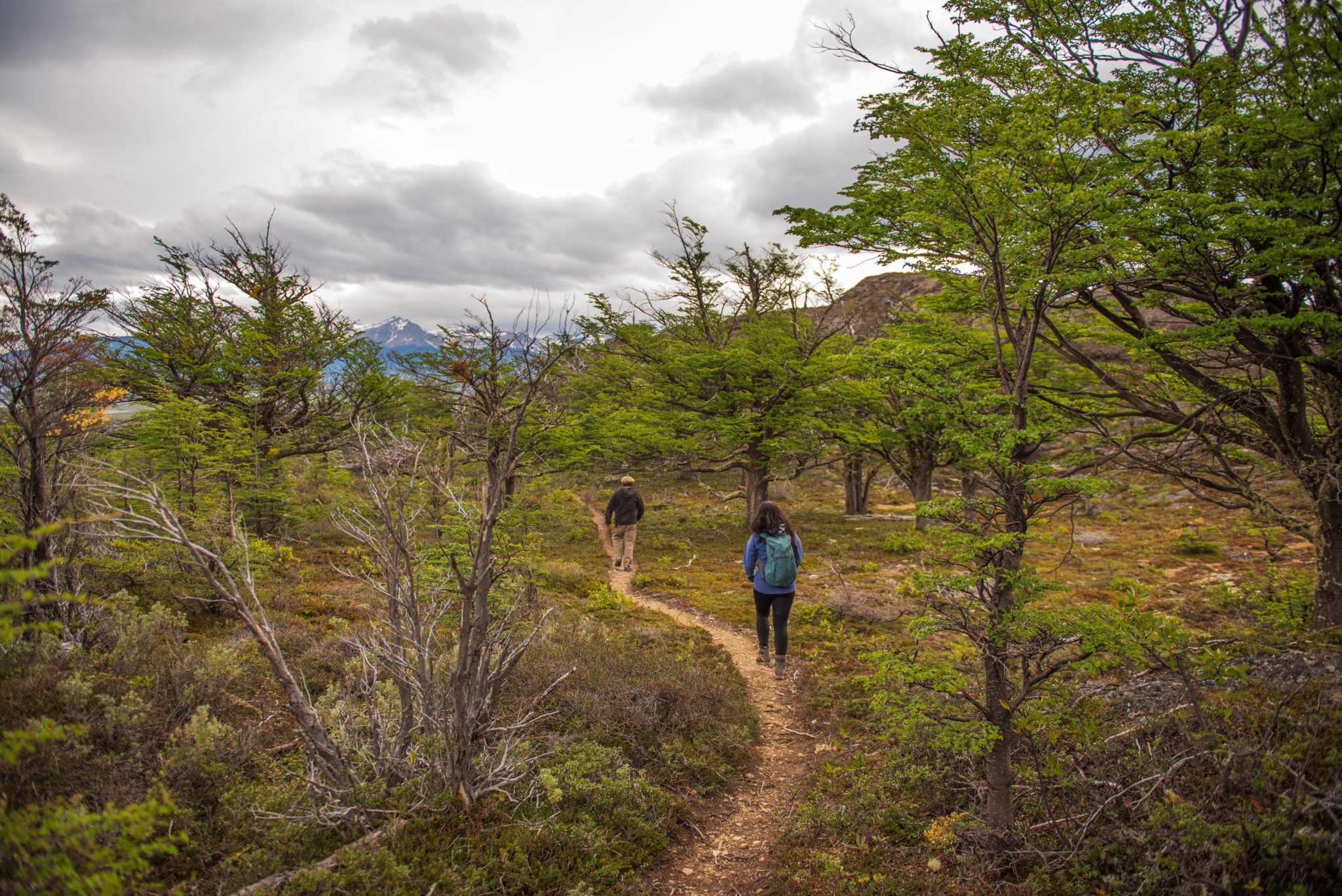 La entrada a una formación de cuevas naturales en las laderas rocosas del Cerro Benítez.