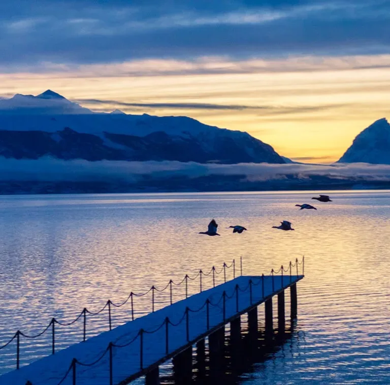 Puerto Natales Express