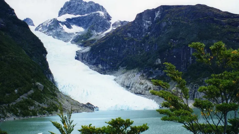 A lush forest path leading toward the viewpoint of the Serrano Glacier.